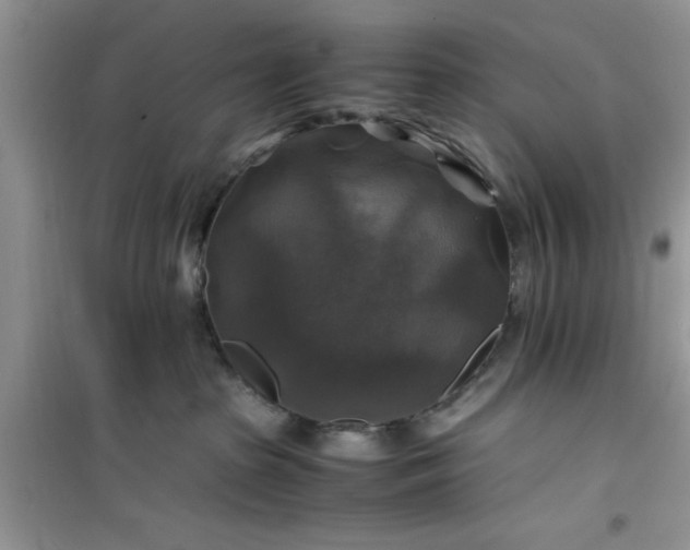 X0000100950285200807081225