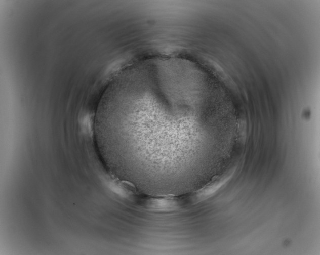 X0000100950286200807081225