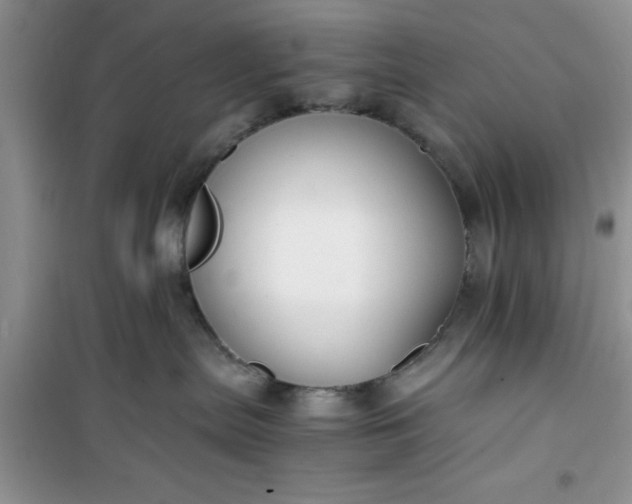 X0000100950287200807081225