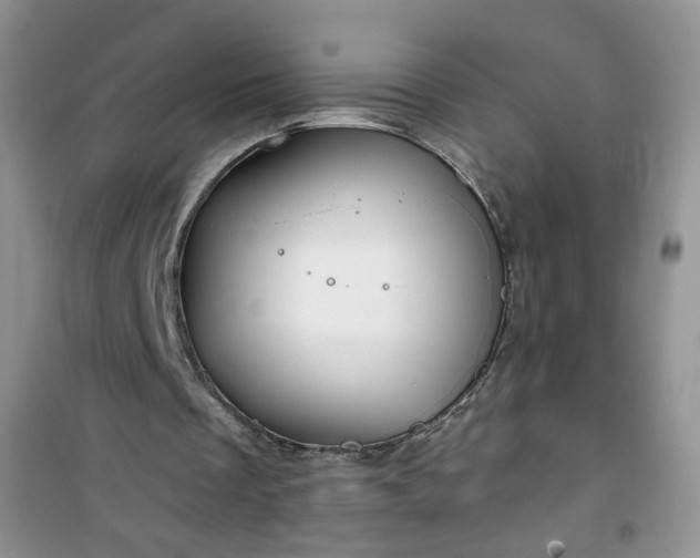 X0000100950289200807081225