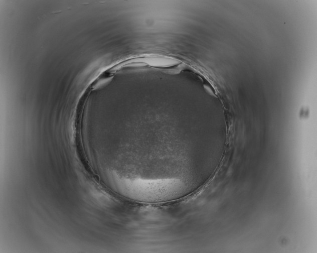 X0000100950290200807081225