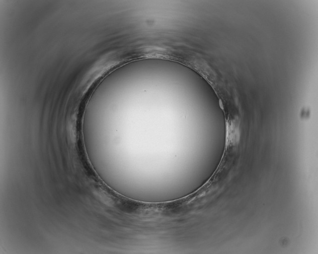 X0000100950291200807081225