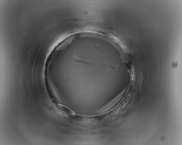 X0000100950292200807081225