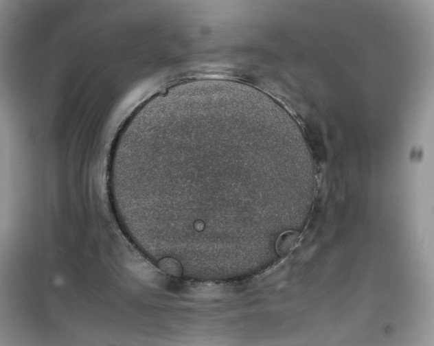 X0000100950293200807081225