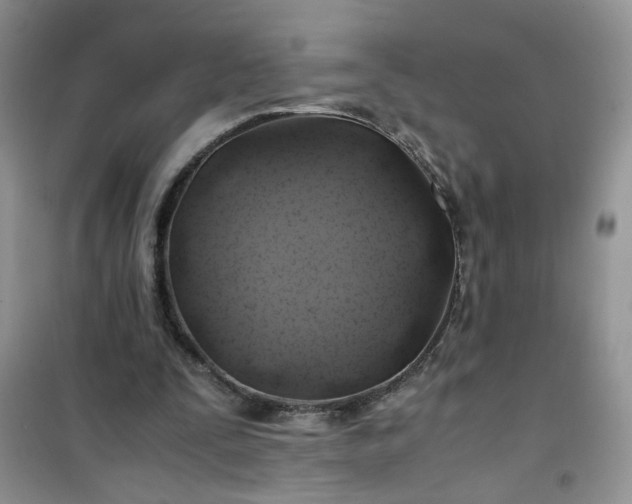 X0000100950295200807081224