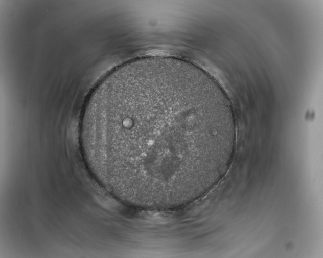 X0000100950297200807081224