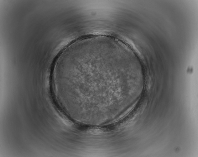 X0000100950299200807081224