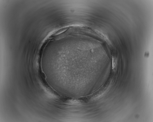 X0000100950300200807081224