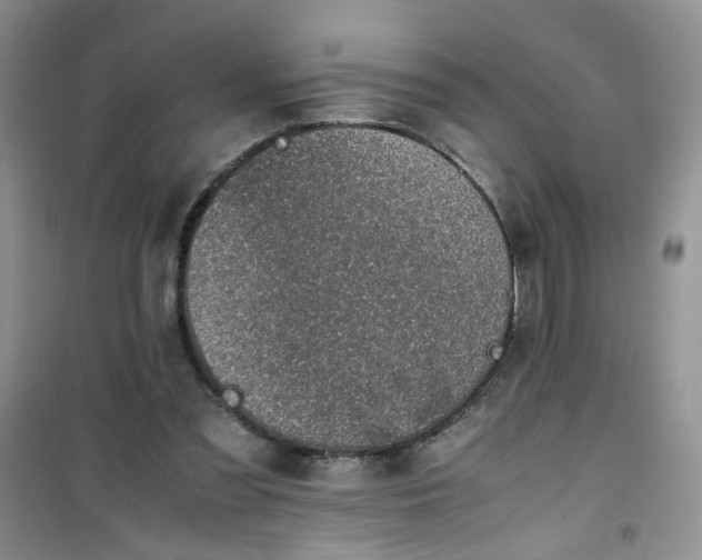 X0000100950301200807081224