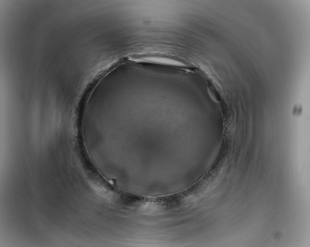 X0000100950303200807081224