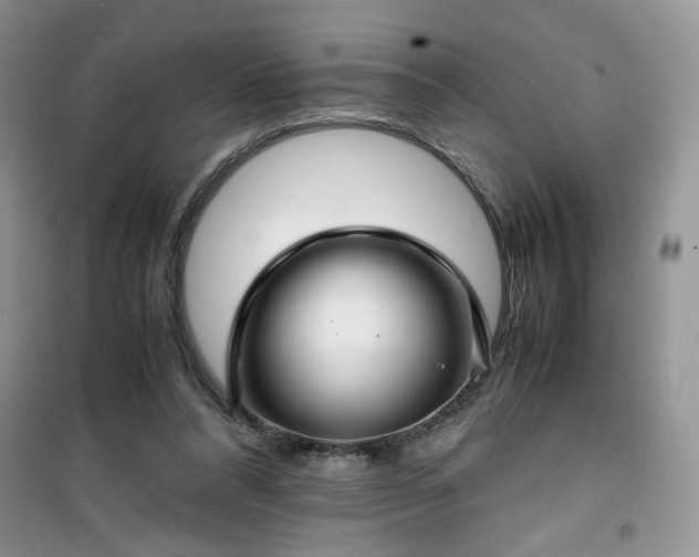 X0000100950304200807081224