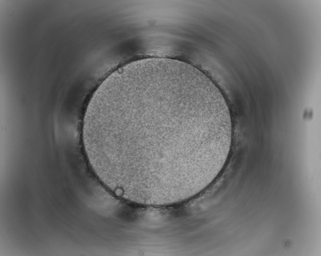 X0000100950305200807081224