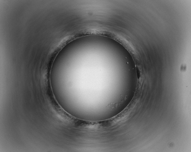 X0000100950306200807081224