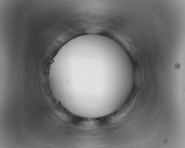 X0000100950307200807081224