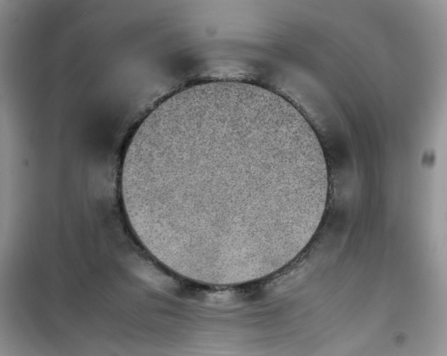 X0000100950309200807081224