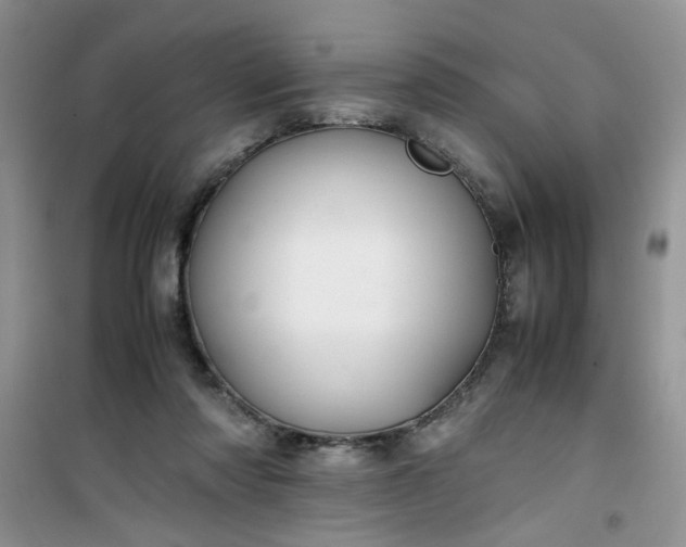 X0000100950310200807081224