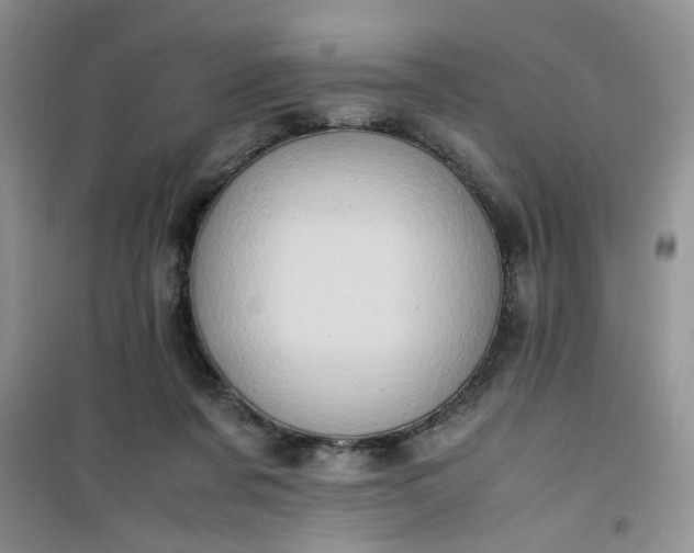 X0000100950311200807081224