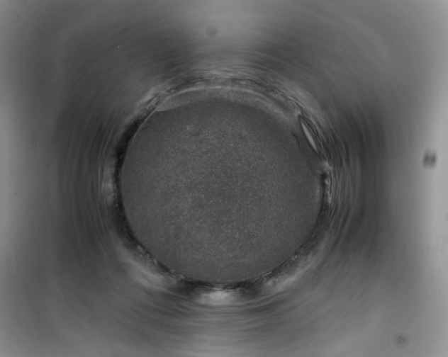 X0000100950312200807081224