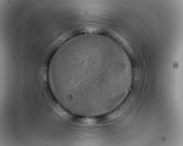 X0000100950313200807081224