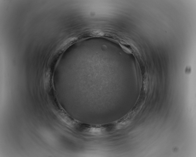 X0000100950314200807081224