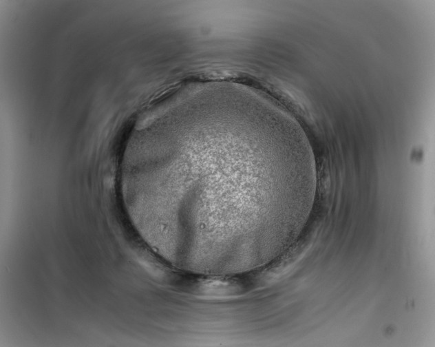 X0000100950315200807081224