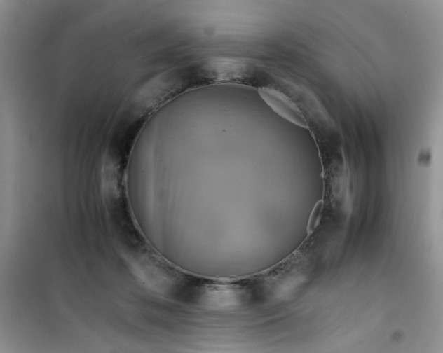 X0000100950316200807081224