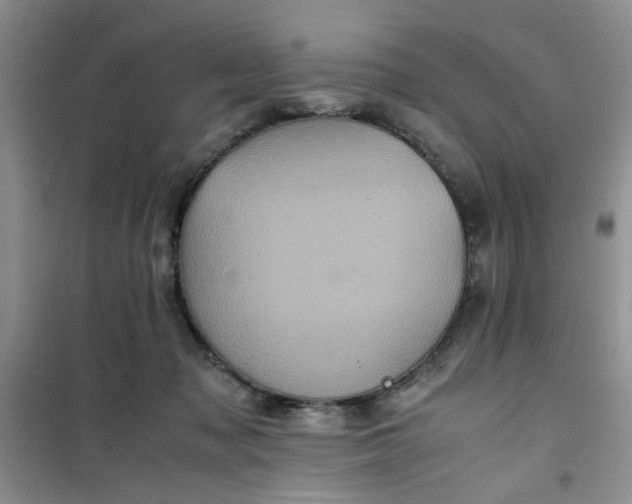 X0000100950317200807081224