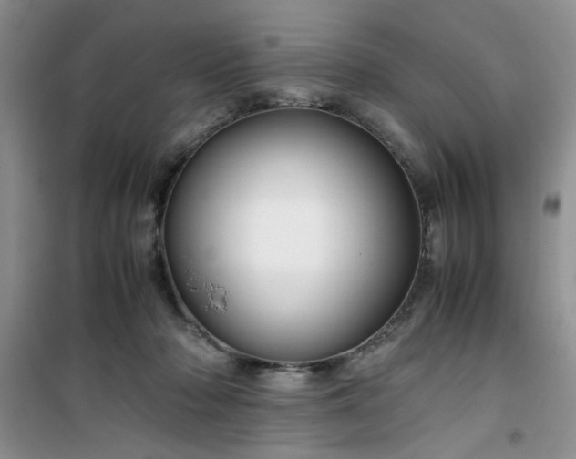 X0000100950318200807081224