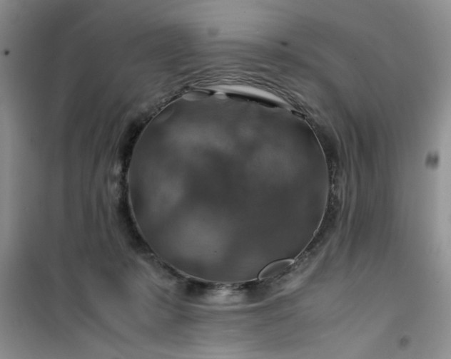 X0000100950319200807081224