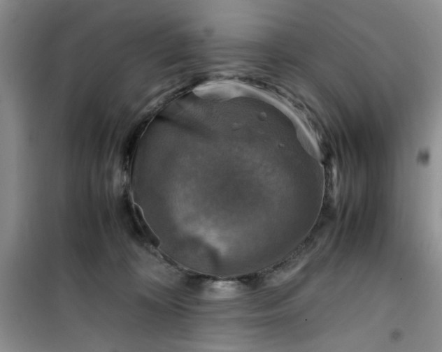 X0000100950324200807081224