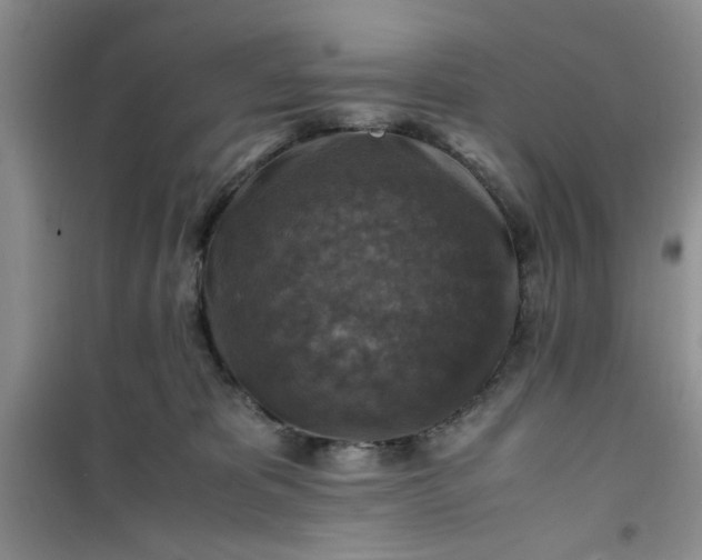 X0000100950325200807081224