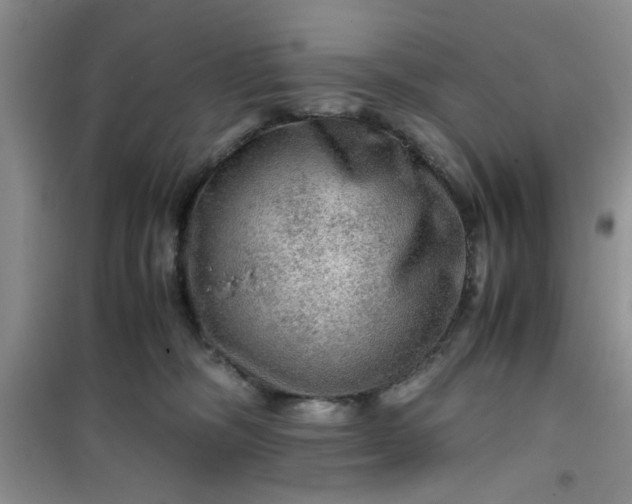 X0000100950326200807081224