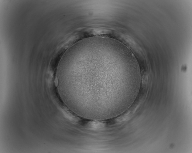 X0000100950327200807081224