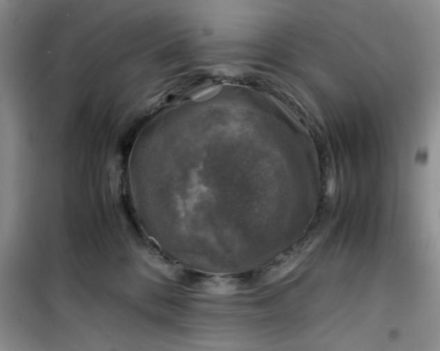 X0000100950328200807081224