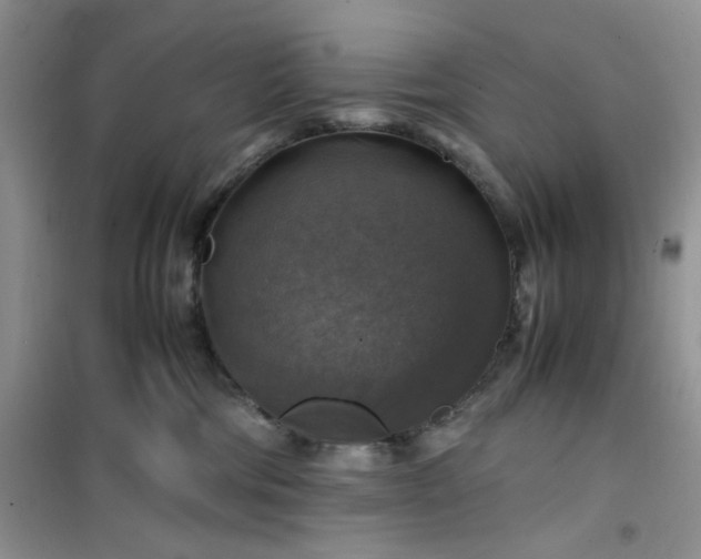 X0000100950330200807081224