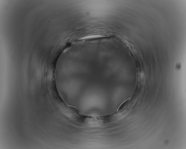 X0000100950331200807081224