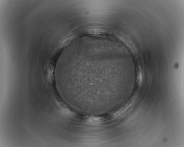 X0000100950332200807081224