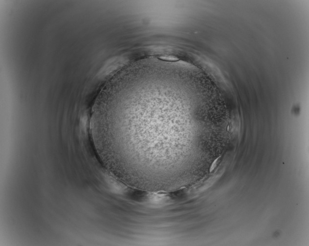 X0000100950333200807081224