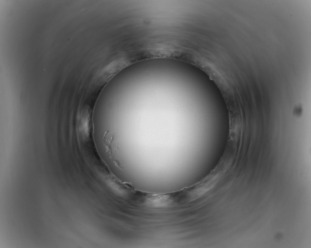 X0000100950334200807081224