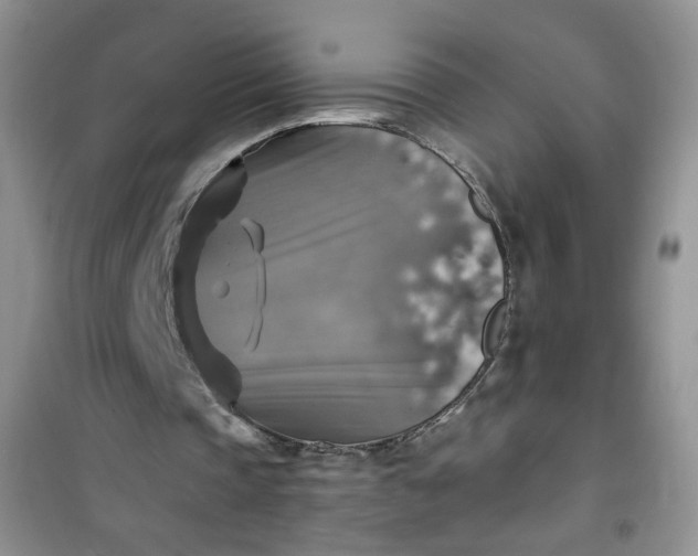 X0000100950337200807081223