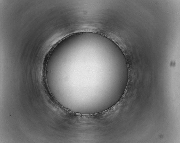 X0000100950338200807081223