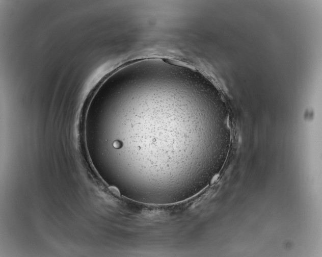 X0000100950340200807081223