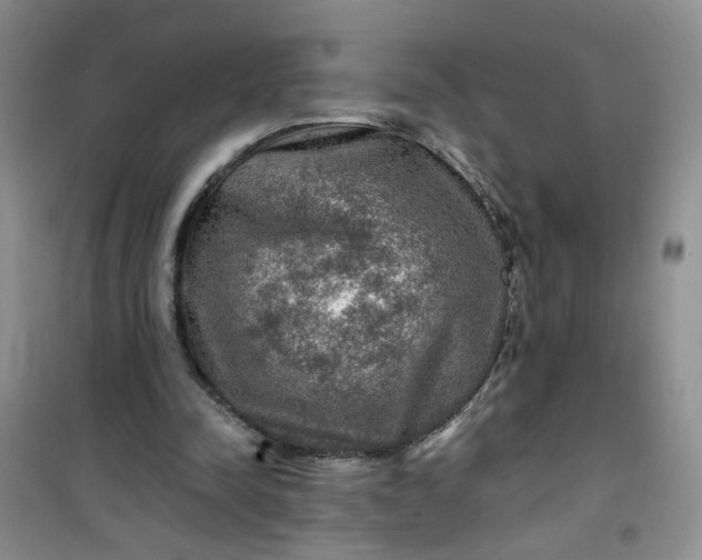 X0000100950342200807081223