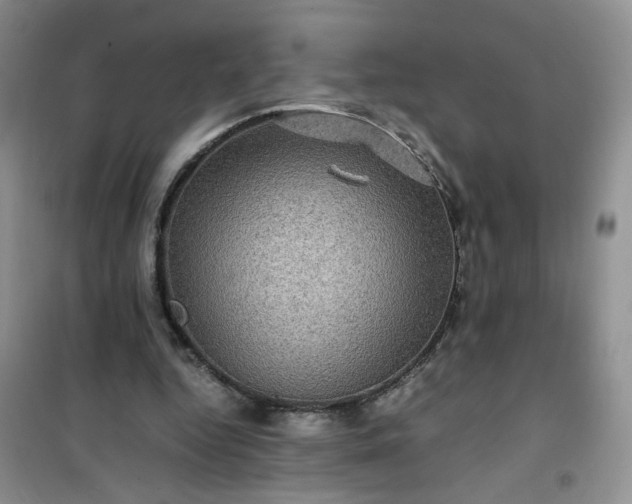 X0000100950344200807081223