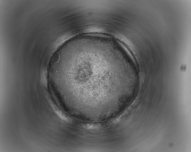 X0000100950345200807081223