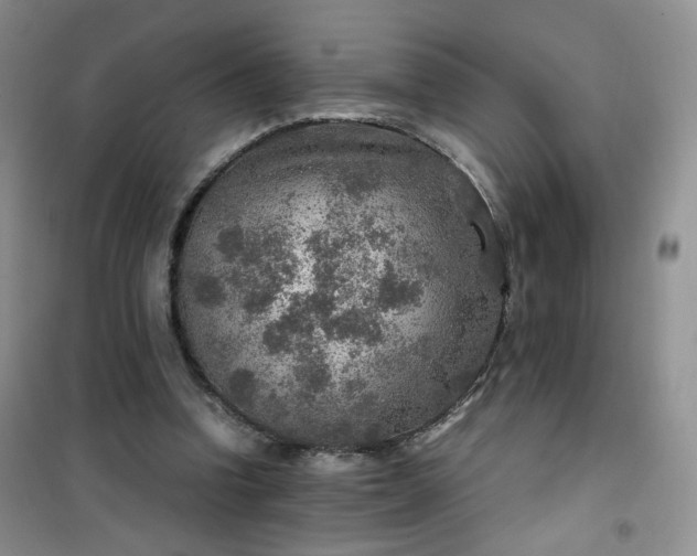 X0000100950346200807081223