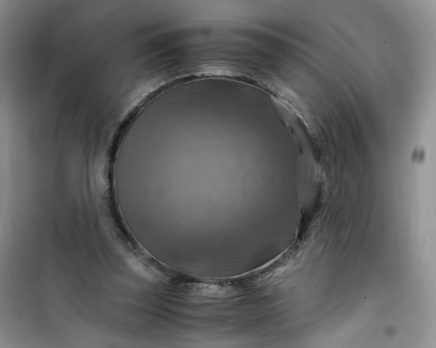 X0000100950347200807081223