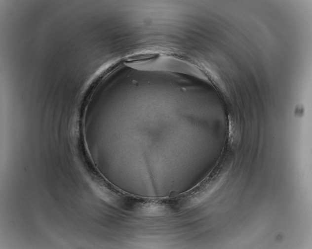 X0000100950348200807081223