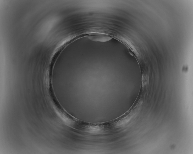 X0000100950349200807081223