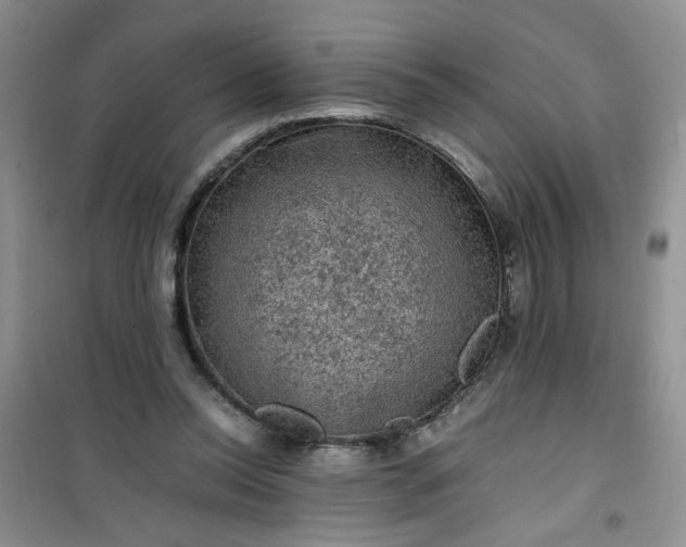 X0000100950350200807081223